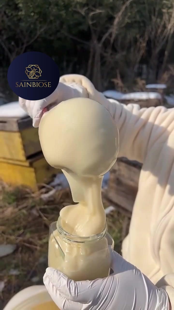 Récolte de miel blanc directement à la ruche, hiver